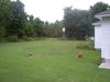 Yard - back