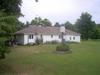 Yard - back