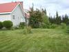 Yard - back