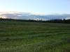 feild