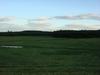 back feild