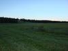 feild