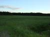 feild