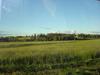 feild